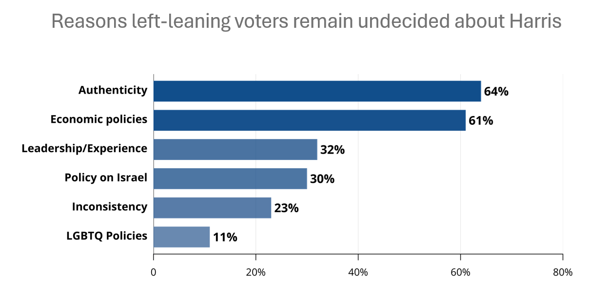 Pie chart showing the top issues for left-leaning undecided voters, including healthcare, abortion rights, immigration, and foreign policy