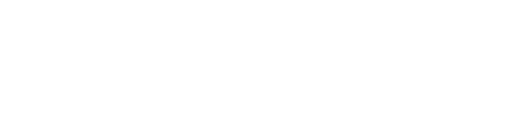 Toluna Research Logo