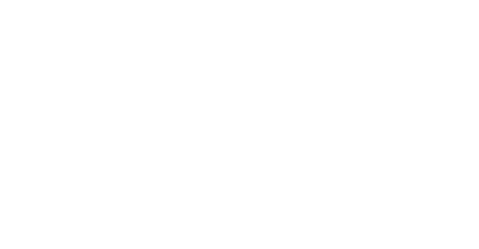 Long Island University logo